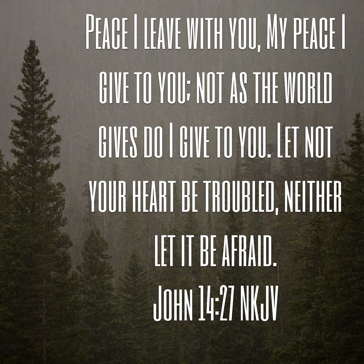 Standing Firm Together John 1426 28 Weston Park Standing Firm Together John 1426 28 Weston Park