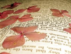 Bible pressed flowers 1548291 640x480