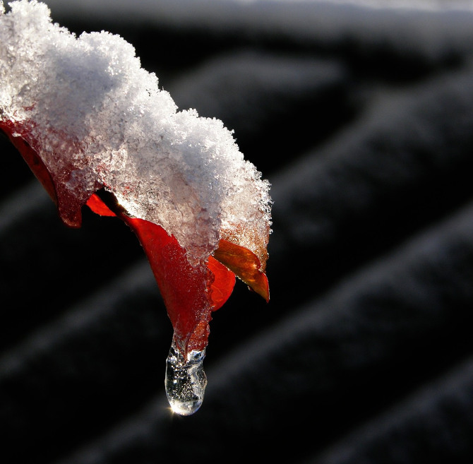 Slideshow image